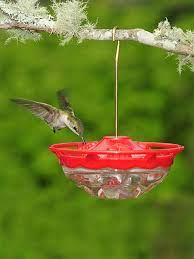 Pin By Debi Mason On Hummingbirds Hummingbirds Feeder Feeder Bird Feeders