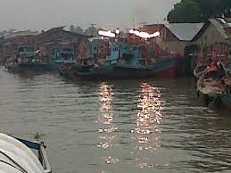 Lowongan kerja balai perikanan budidaya air tawar mandiangin tahun 2021. Ini Alasan Mengapa Tanjung Balai Asahan Disebut Pelabuhan Tikus