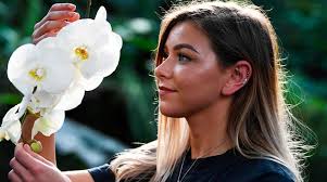 Orquídeas: bellas, seductoras y la flor más extensa del planeta