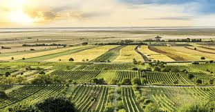 Das burgenland ist ein bundesland österreichs. Der Offizielle Reisefuhrer Fur Das Burgenland Urlaub In Osterreich