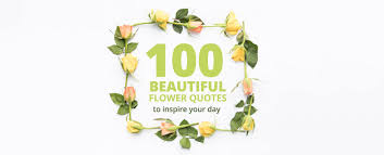 Maybe you would like to learn more about one of these? 100 Beautiful Flower Quotes To Inspire Your Day Sa Florist