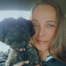 Dog training recommendations for golden retriever?