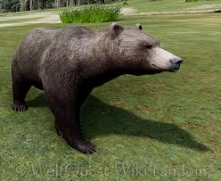 So grateful for the opportunity to see this first hand with my family. Grizzly Bear Wolfquest Wiki Fandom