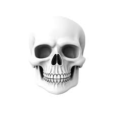 Skull Emoji PNG, Vector, PSD, and ...