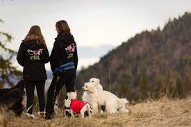 oh dog pension promenades pour chiens a vevey montreux riviera