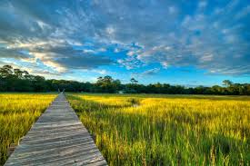 Images from the coastal areas of south carolina. The 2 Best Luxury Hotels In South Carolina Lowcountry Skylark Travel