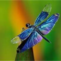 Obituary of Olive Mable Hart