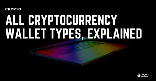 Every type of crypto wallet falls into one of examples of hot wallets include exchange wallets, web wallets, and software wallets like exodus. All Cryptocurrency Wallet Types Explained Hobo With A Laptop