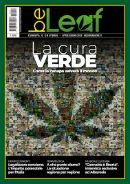 Alcoolismul in ultimii ani, pe fond social, umple sectiile de psihiatrie. Beleaf Magazine Abril 2019 By Beleaf Magazine Issuu