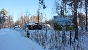 Uncensored adult comics: lemon girls at their naughtiest