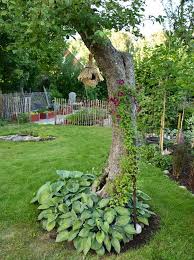 Hopp Om Liv Froken Grons Blogg Garten Pflanzen Gartengestaltung