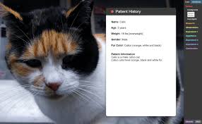 Chapter 12 study guide answer key.notebook. Meowsis Stem Case Lesson Info Explorelearning