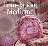Scientific Journal Cover Designs - Ella Maru Studio