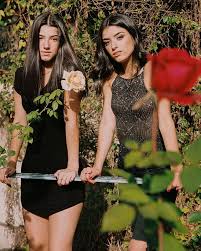 Charli Dixie D Amelio In 2020 Friend Photoshoot Celebrities Famous Girls