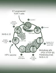 DEA Annual Report 2023