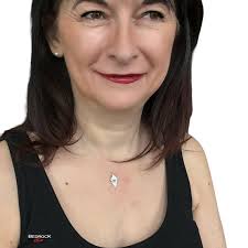 Silver Compass Rose Shield