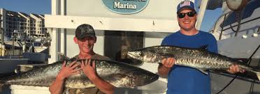 The virginia beach fishing pier is a popular gathering spot for the city's fishing enthusiasts. Fish Species Around Virginia Beach Virginia Beach Fishing Charters E Fishinsea Sportfishing Charters