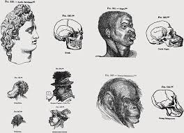 Only eight models out of 44 that year were black, and only. Viewed Through History Racism Is A Lot More Black And White University Of Huddersfield