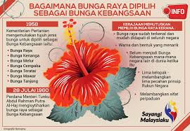 We loved loved loved the bunga raya in every way. Kenapa Bunga Raya Pejabat Daerah Dan Tanah Kuala Nerus Facebook