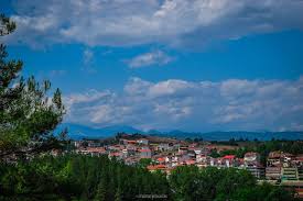 Παρατηρήσεις από το μεγαλύτερο δίκτυο μετεωρολογικών σταθμων. 12 Logoi Gia Na Episkef8eis Ta Grebena Ayto To Kalokairi E Grevena Portal