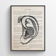 Outer Ear Anatomy Print Audiology Gift Hearing Doctor Ent Etsy Ear Anatomy Audiology Audiologist