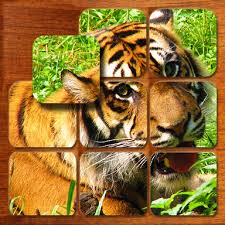 Here you will find jigsaw puzzles with animals. Animal Jigsaw Puzzles 2 Free Android Game Apk Com Madrabbit Puzzleboxanimals By Madrabbit Download To Your Mobile From Phoneky