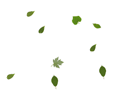 Also animated trees blowing in the wind, trees with leaves falling, tree house, scary trees plus happy, sad and angry trees. Autumn Leaves Gif Png Novocom Top