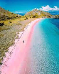Pink Beach Indonesia Ocean Travel Places To Travel Pink Beach Komodo Island