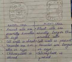 Write the difference between animal cell and plant cell. Write Difference Between Plant Cell And Animal Cell Brainly In