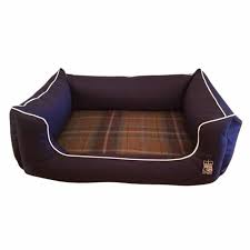 The brindle soft memory foam dog bed is an excellent entry level orthopaedic dog bed which comes in a variety of colours and sizes to brighten up any room it's placed in. Memory Foam Dreamer Dog Bed Blue Waterproof Beds Paws Plus One