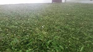 Sekiranya anda, seorang warganegara malaysia yang cukup syarat kelayakan dan berumur tidak kurang daripada 18 tahun pada tarikh tutup iklan jawatan adalah dipelawa untuk memohon bagi mengisi kekosongan jawatan seperti yang diiklankan. Lembaga Kenaf Lembaga Kenaf Dan Tembakau Negara Lktn Facebook