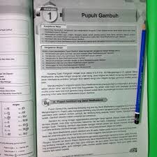 Ibu wali kelas ingkang kinurmatan. Kunci Jawaban Lks Bahasa Jawa Kelas 6 Semester 1 2020 Revisi Id