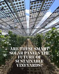 Agrivoltaics is the practice of positioning solar panels to support  agriculture while providing green energy. Vitivoltaics, a term coined by  Dr. Manfred Stoll, describes a newly developed agrivoltaic system designed  specifically for