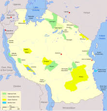 Image result for Kotschya capitulifera