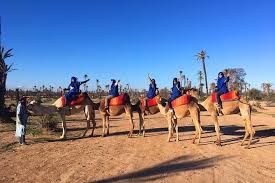 Away from hustle and bustle,visit the two non skipped magnificent attractions, the majorelle garden, the arabian camel riding, and spend a journey through the prestigious garden. Marrakech Half Day Desert Quad And Camel Tour Tripstravelinmorocco
