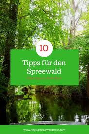 Spreewald Orte Aktivitaten Essen Spreewald Spreewald Urlaub Und Urlaub Reisen