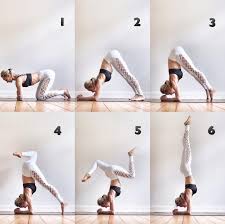 All The Steps To Find Forearm Stand Ania 75 Easy Yoga Workouts Yoga Routine Yoga