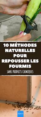 Si Les Fourmis Ont Deja Pris Possession De Votre Domicile Voici 10 Astuces Naturelles Pour Les Repousser Sans Utiliser De Produits Chimique