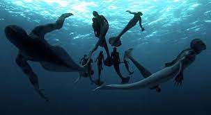 He finds real life mermaid. Mermaids The Body Found On Animal Planet The New York Times