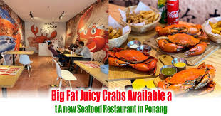 Best dining in penang island, penang: Big Fat Juicy Crabs Available At A New Seafood Restaurant In Penang Everydayonsales Com News