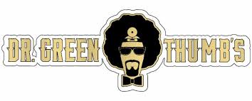 Greenthumb is another standout cypress cut, and inspired the name of the dispensary. Script Type Text Javascript Script Script Async Async Src Https Contextual Media Net Dmedianet Js Cid 8cupqkj1h Script B Real Of Cypress Hill Opens Dr Greenthumb Dispensary Wednesday August 15th Faded4u