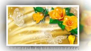 Poze cu flori imagini cu flori full hd wallpaper cu flori. Videoclip Imagini Cu Trandafiri Galbeni Pentru Indragostiti Poze Cu Flori Pentru Fete By Adrian Ciobanu