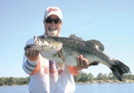 So yes, there are alligators in florida lakes just as there are sharks in the oceans and birds in the sky but this is no reason for concern or panic. Lake Seminole In Florida Top Florida Bass Fishing Lake For Guided Trips