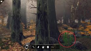 Salem witch trials game walkthrough for free. Nancy Drew Midnight In Salem Walkthrough Puzzles Achievements