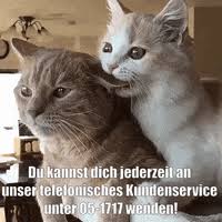 We did not find results for: Weltkatzentag Gifs Get The Best Gif On Giphy