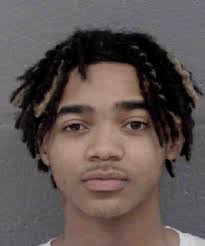 Taylor Ogletree Driving While License Revoked