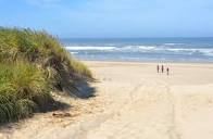 Profile Picture of 2070 Eugene Beach Stock Photos, High-Res Pictures, and Imageson Google