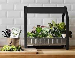 Krydda Is A Little Home In Black Galvanised Stainless Steel That Lets You Grow Your Vegetables And Plants Indoors Ikea Indoor Garden Indoor Indoor Plants
