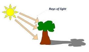 Image result for shadows in science