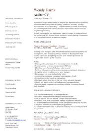 Auditor Cv Sample Bookkeeping And Accounting Skills On Site Audits Cv